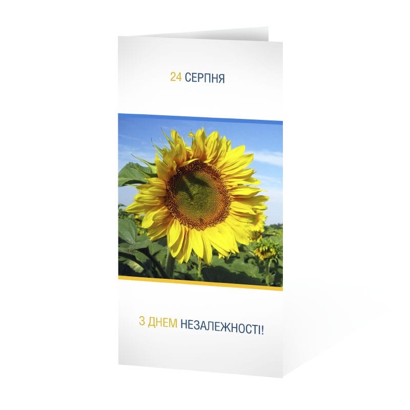 фото номер 1 D1915, Листівки server1.lastivka.ua